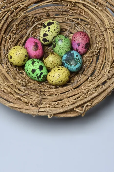 Framed Print : Coloured Quail Eggs in Nest Print Framed Print : Coloured Quail Eggs in Nest Print