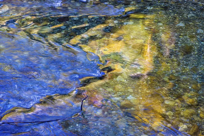 Framed Print : Coloured Reflections in the River Passer Print Framed Print : Coloured Reflections in the River Passer Print