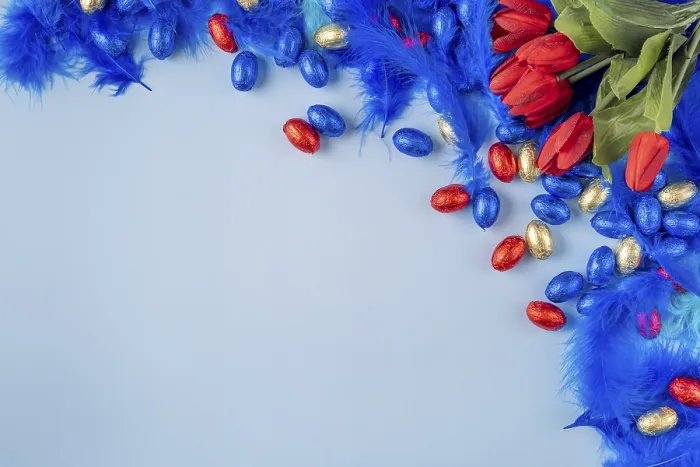 Framed Print : Colourful Composition Print with Blue Feathers and Tulips Framed Print : Colourful Composition Print with Blue Feathers and Tulips