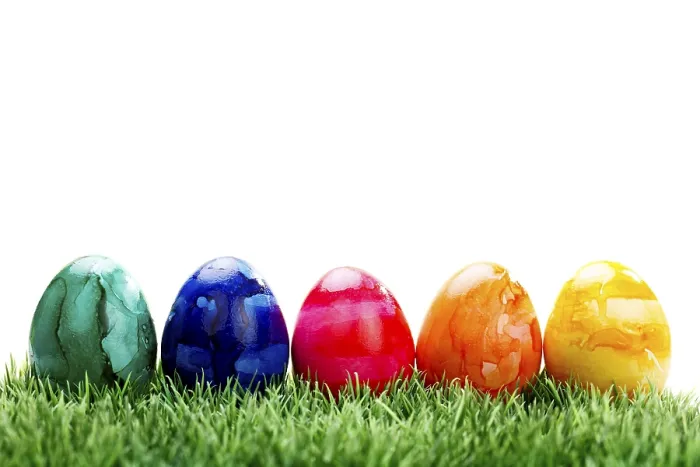 Framed Print : Colourful Easter Eggs on a Lawn Print Framed Print : Colourful Easter Eggs on a Lawn Print