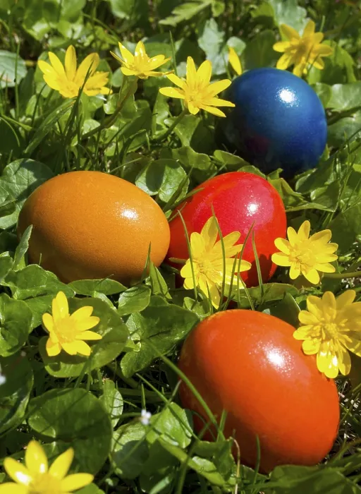 Framed Print : Colourful Easter Eggs in a German Meadow Print Framed Print : Colourful Easter Eggs in a German Meadow Print