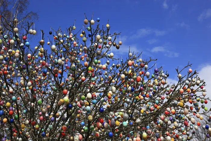 Framed Print : Colourful Easter Eggs on a Tree Print Framed Print : Colourful Easter Eggs on a Tree Print