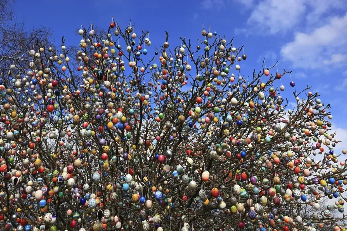Framed Print : Many Colourful Easter Eggs on a Tree Print Framed Print : Many Colourful Easter Eggs on a Tree Print