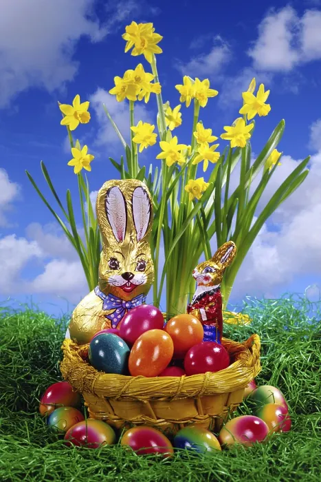 Framed Print : Colourful Easter Nest Print, Lower Saxony, Germany Framed Print : Colourful Easter Nest Print, Lower Saxony, Germany