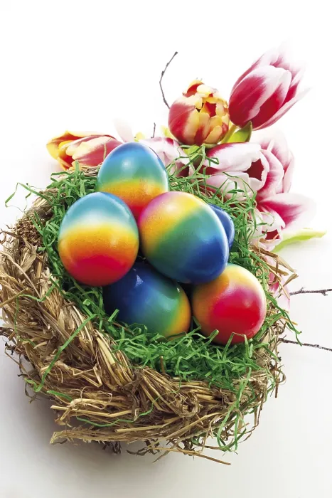 Framed Print : Colourful Painted Easter Eggs in a Nest Print Framed Print : Colourful Painted Easter Eggs in a Nest Print