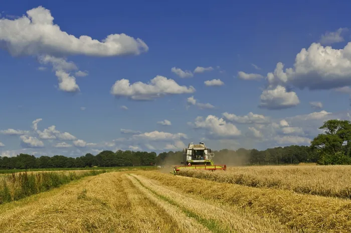 Framed Print : Combine Harvester Print Framed Print : Combine Harvester Print