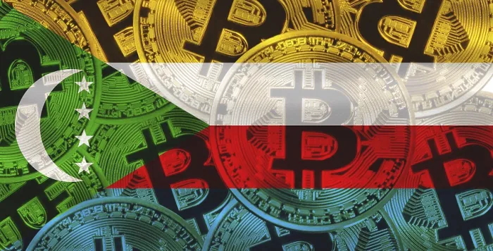 Framed Print : Comorian Flag Print with Bitcoins Background Framed Print : Comorian Flag Print with Bitcoins Background