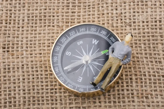 Framed Print : The Compass Print on Linen Canvas Framed Print : The Compass Print on Linen Canvas