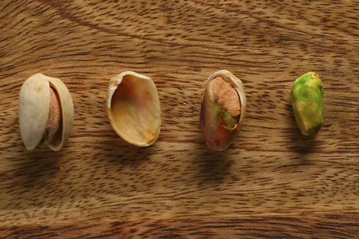 Framed Print : Components of a Pistachio Print Framed Print : Components of a Pistachio Print