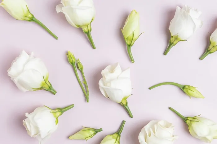 Framed Print : Composition with Eustoma Flowers Print Framed Print : Composition with Eustoma Flowers Print