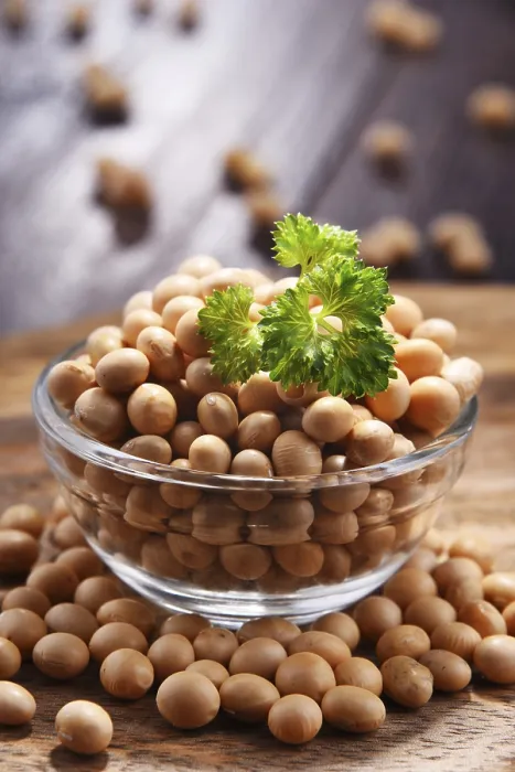 Framed Print : Composition with Bowl of Soya Beans Print Framed Print : Composition with Bowl of Soya Beans Print
