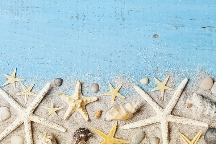 Framed Print : Composition from seashell, starfish and sand Print Framed Print : Composition from seashell, starfish and sand Print