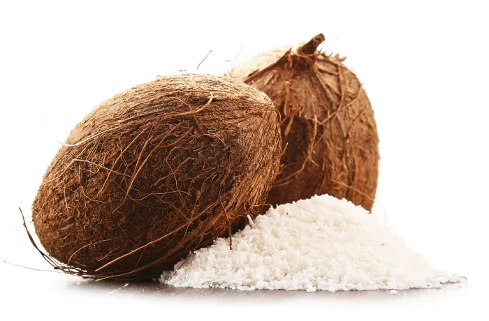 Framed Print : Composition with Shredded Coconut and Shells Print Framed Print : Composition with Shredded Coconut and Shells Print