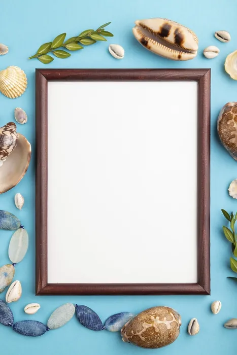 Framed Print : Composition with Wooden Frame, Seashells Print Framed Print : Composition with Wooden Frame, Seashells Print