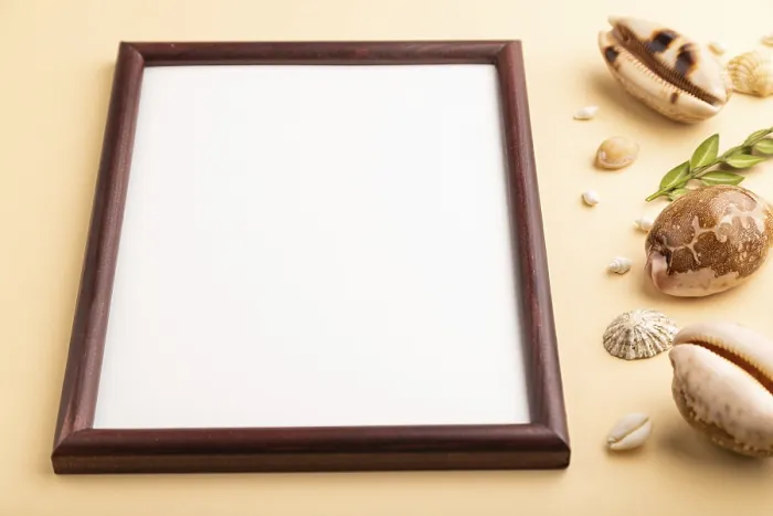 Framed Print : Composition with Wooden Frame, Seashells Print Framed Print : Composition with Wooden Frame, Seashells Print