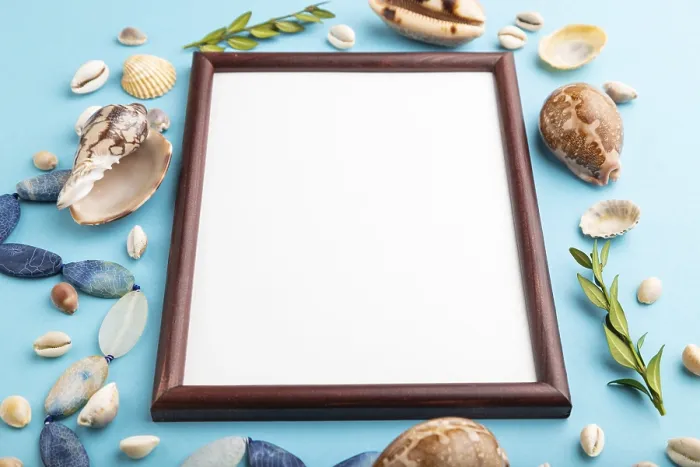 Framed Print : Composition with Wooden Frame, Seashells Print Framed Print : Composition with Wooden Frame, Seashells Print
