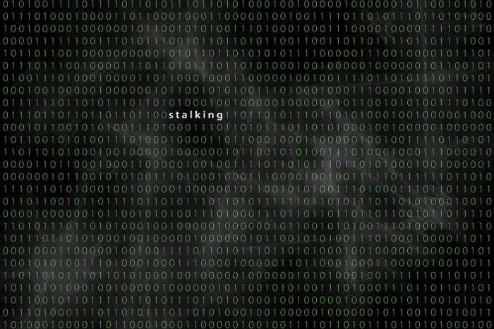 Framed Print : Germany Computer Matrix with Stalking Print Framed Print : Germany Computer Matrix with Stalking Print