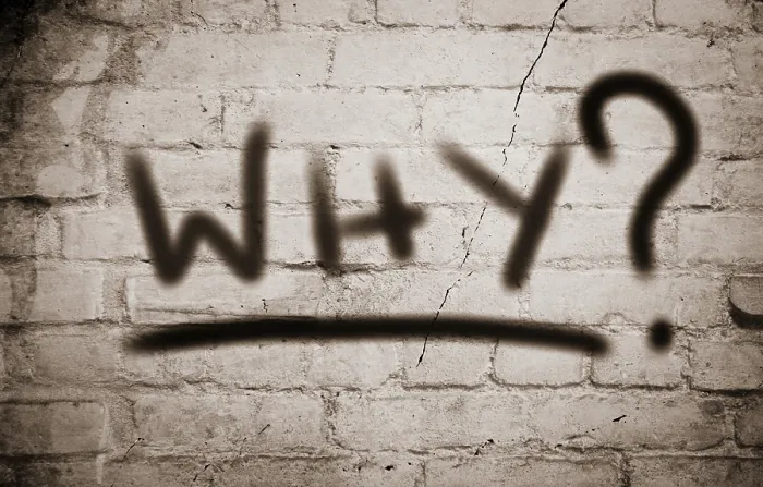 Framed Print : Why Concept Print by imageBROKER Framed Print : Why Concept Print by imageBROKER