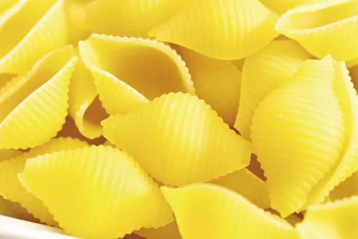 Framed Print : Conchiglie Uncooked Pasta Print Framed Print : Conchiglie Uncooked Pasta Print