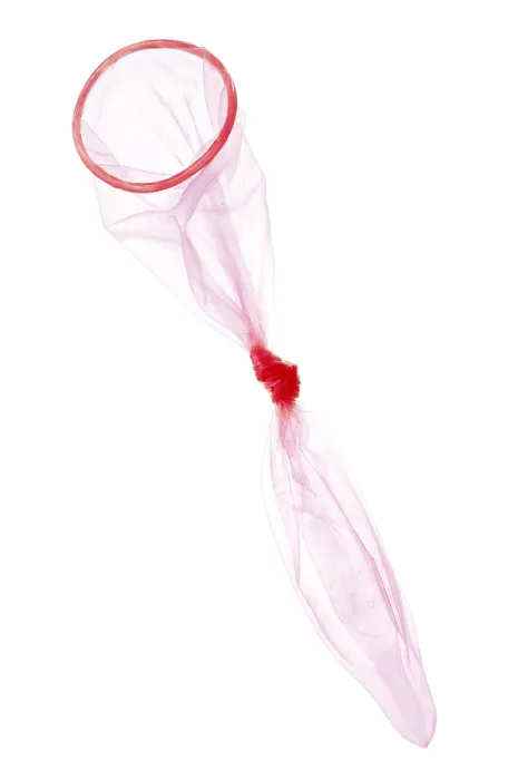 Framed Print : Condom Condom Print by Robert Mapplethorpe Framed Print : Condom Condom Print by Robert Mapplethorpe