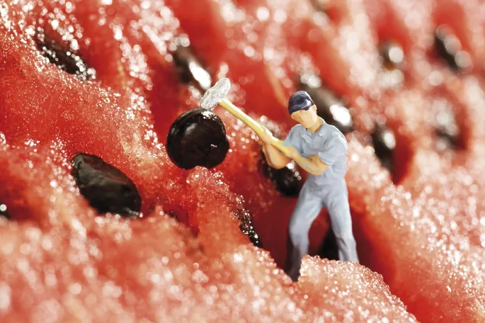 Framed Print : Construction Worker in Watermelon Print Framed Print : Construction Worker in Watermelon Print