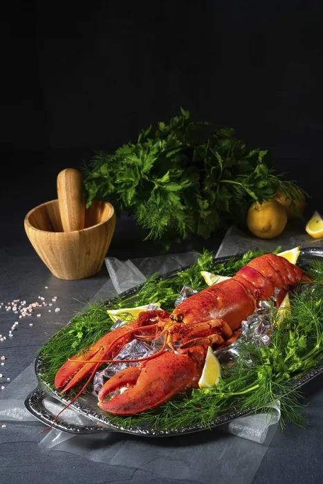 Framed Print : The Cooked Lobster on Ice Print Framed Print : The Cooked Lobster on Ice Print