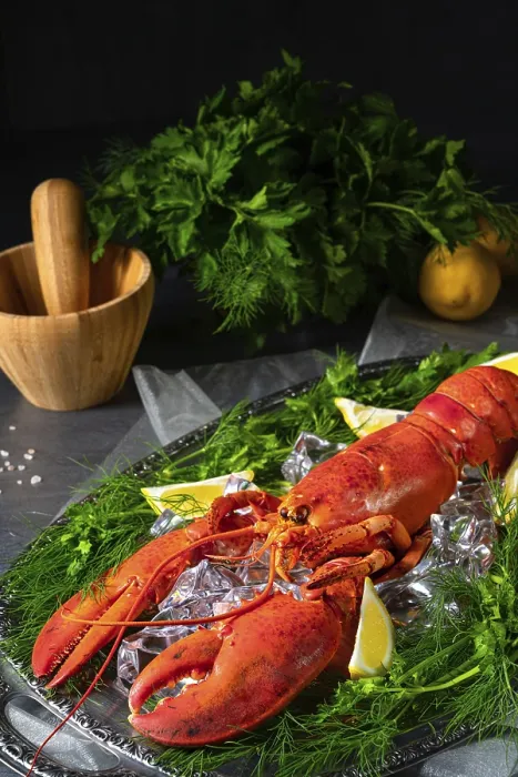 Framed Print : The Cooked Lobster on Ice Print Framed Print : The Cooked Lobster on Ice Print