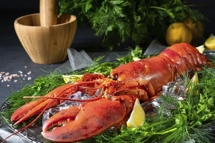 Framed Print : The Cooked Lobster on Ice Print Framed Print : The Cooked Lobster on Ice Print