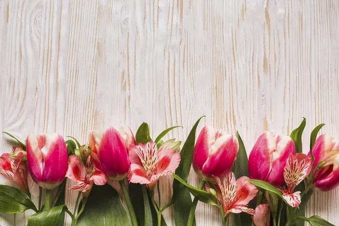 Framed Print : Copy Space Tulips Print Framed Print : Copy Space Tulips Print