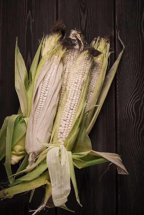 Framed Print : Rustic Corn Cobs Print, Top View Framed Print : Rustic Corn Cobs Print, Top View