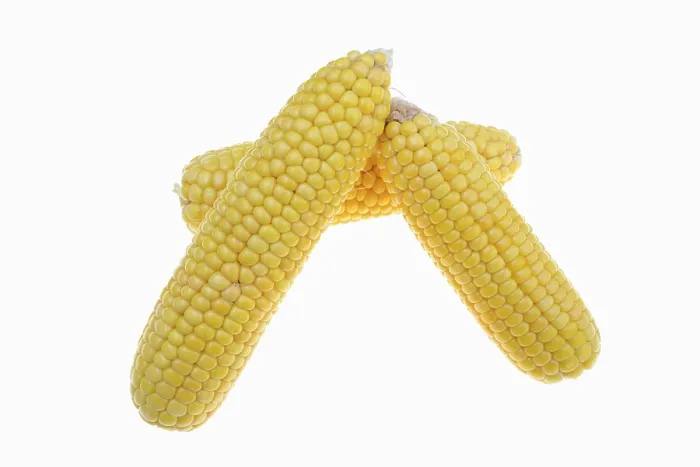 Framed Print : Corn Print - White Background Framed Print : Corn Print - White Background