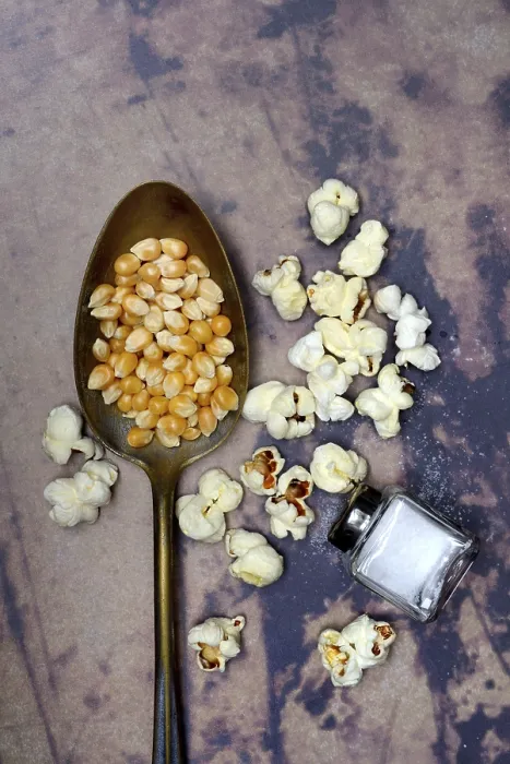 Framed Print : Popcorn Corn (Zea mays) Kernels Print Framed Print : Popcorn Corn (Zea mays) Kernels Print