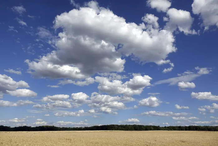 Framed Print : Cornfield with Clouds Print