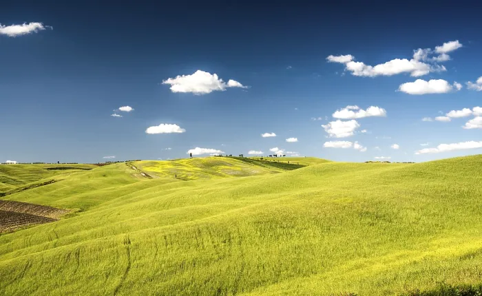 Framed Print : Cornfields in Spring, San Quirico d'Orcia Print Framed Print : Cornfields in Spring, San Quirico d'Orcia Print
