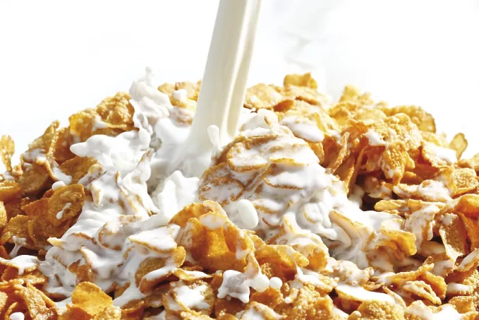 Framed Print : Print of Cornflakes with milk Framed Print : Print of Cornflakes with milk