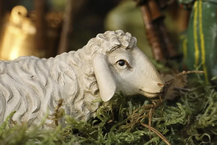 Framed Print : Cot Figurine Print: Sheep Framed Print : Cot Figurine Print: Sheep