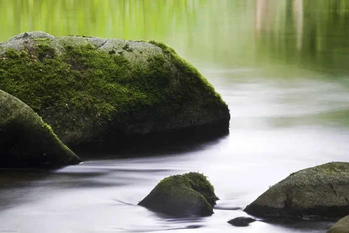 Framed Print : Course of Stream with Stones Print Framed Print : Course of Stream with Stones Print