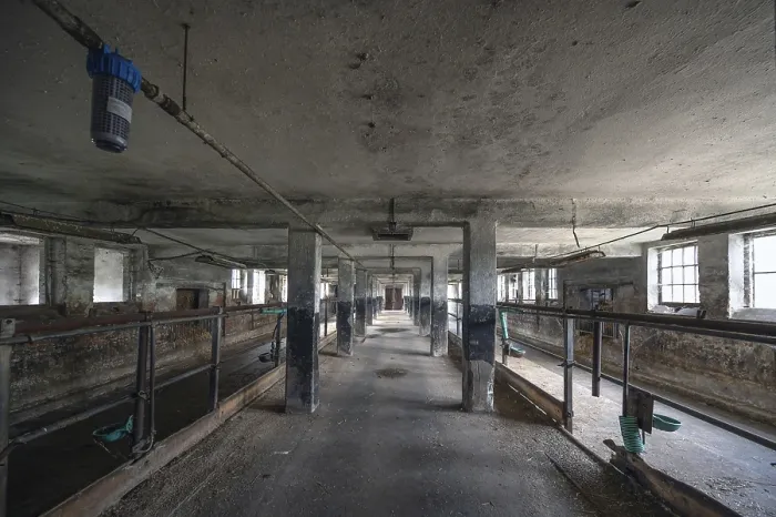 Framed Print : Empty cowshed of a former LPG, Print Framed Print : Empty cowshed of a former LPG, Print