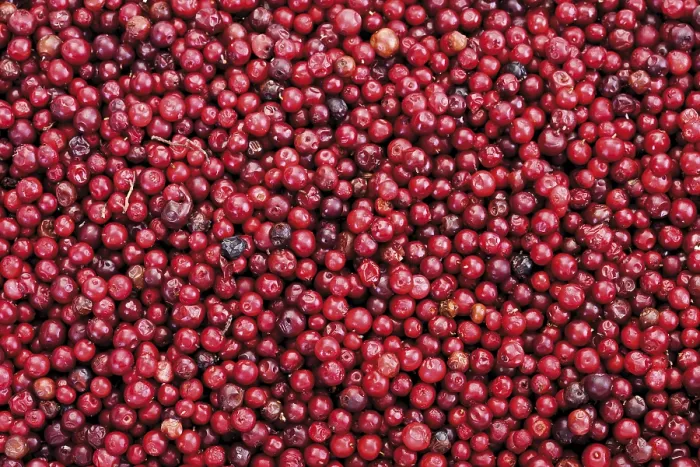 Framed Print : Cranberries Full Frame Print Framed Print : Cranberries Full Frame Print