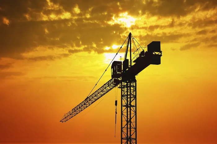 Framed Print : Crane at Sunset Print Framed Print : Crane at Sunset Print