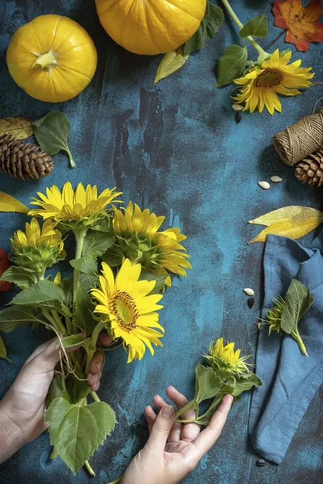 Framed Print : Autumn Print with Pumpkins and Sunflowers Framed Print : Autumn Print with Pumpkins and Sunflowers