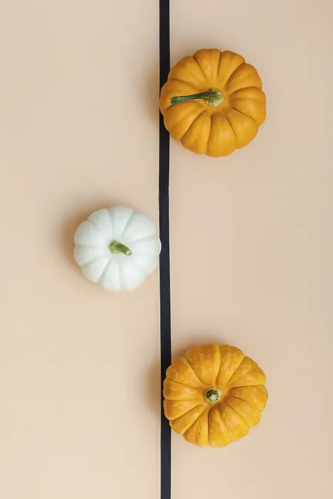 Framed Print : Autumn Print: Top View Flat Lay Composition Framed Print : Autumn Print: Top View Flat Lay Composition