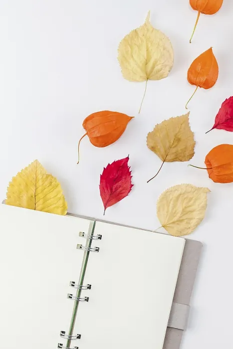 Framed Print : Autumn Print: Notebook Flat Lay Composition Framed Print : Autumn Print: Notebook Flat Lay Composition