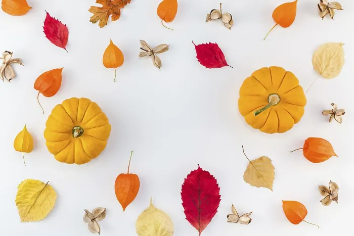 Framed Print : Autumn Print: Top View Flat Lay Composition