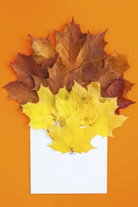 Framed Print : Autumn Print with Dried Leaves on Orange Background Framed Print : Autumn Print with Dried Leaves on Orange Background