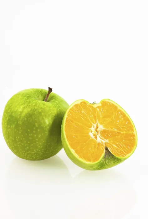 Framed Print : Genetically Modified Fruit Print: Apple-Orange Hybrid Framed Print : Genetically Modified Fruit Print: Apple-Orange Hybrid