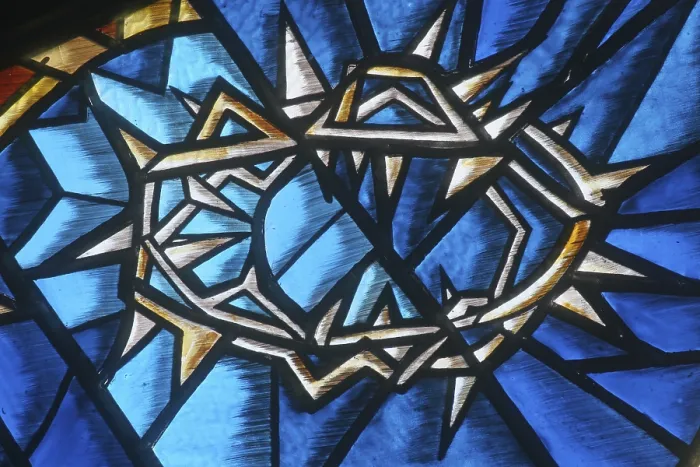 Framed Print : Crown of Thorns Print by ImageBROKER Framed Print : Crown of Thorns Print by ImageBROKER