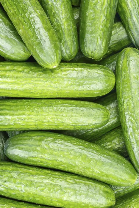 Framed Print : Above View Cucumber Vegetable Print Framed Print : Above View Cucumber Vegetable Print