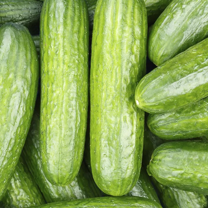 Framed Print : Cucumber Vegetable Print from Above Square Image Framed Print : Cucumber Vegetable Print from Above Square Image