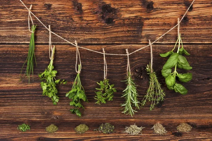 Framed Print : Culinary Herbs Print - Aromatic Delights Framed Print : Culinary Herbs Print - Aromatic Delights